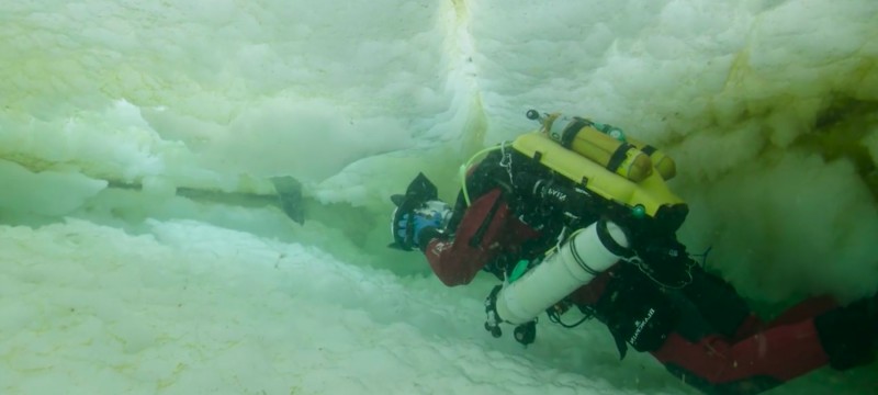 Laurent Ballesta Under the Ice 800x360