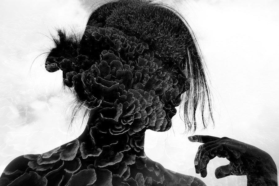 Wai Hoemok