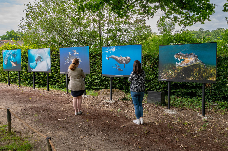 Greg Lecœur Exhibit La Gacilly Photo Festival