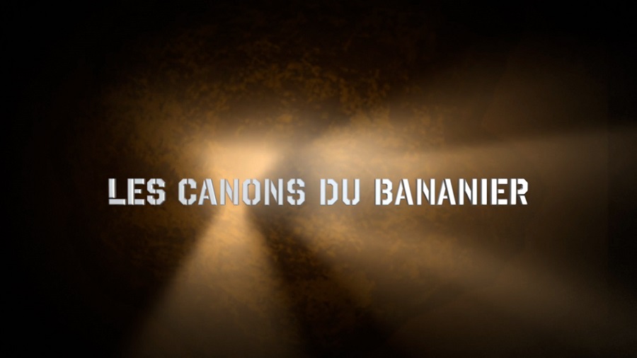 The Cannons of the Banana Ship