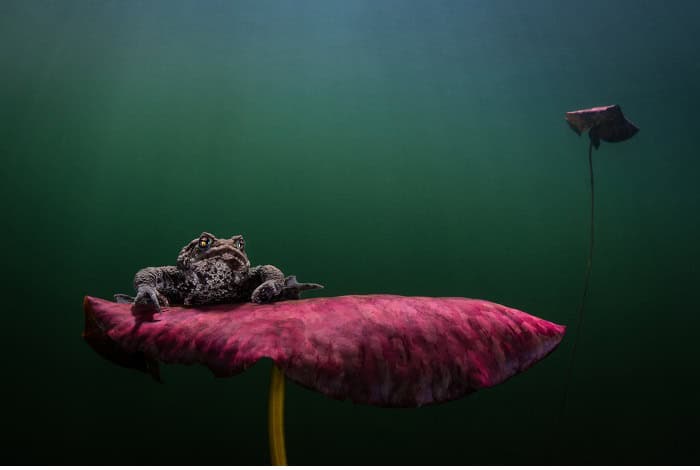 2nd cold water johan sundelin waiting for the kiss