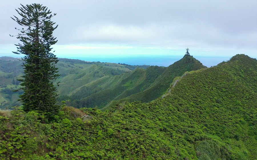 Summit of Diana's Peak