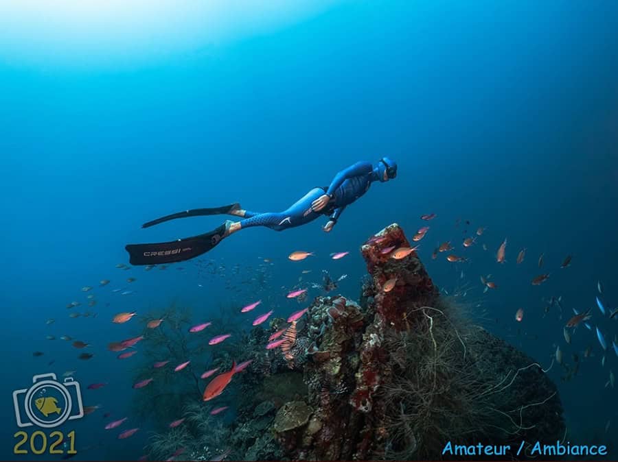 第1位 雰囲気 アマチュア. © アレクサンドル・アッシュ
