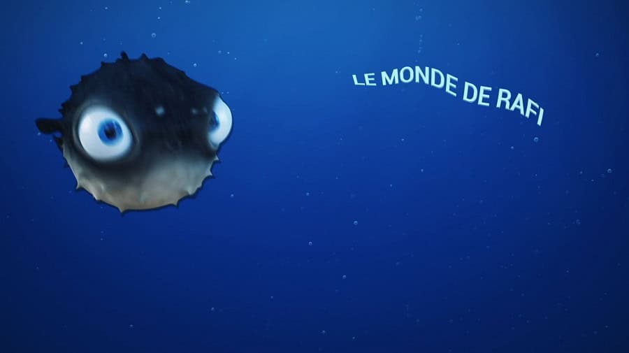 Vm 01jamescaratinile Monde De Rafi2eme Prix Video Master