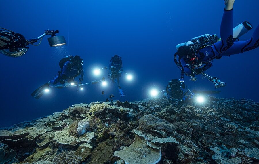 1 Ocean Team