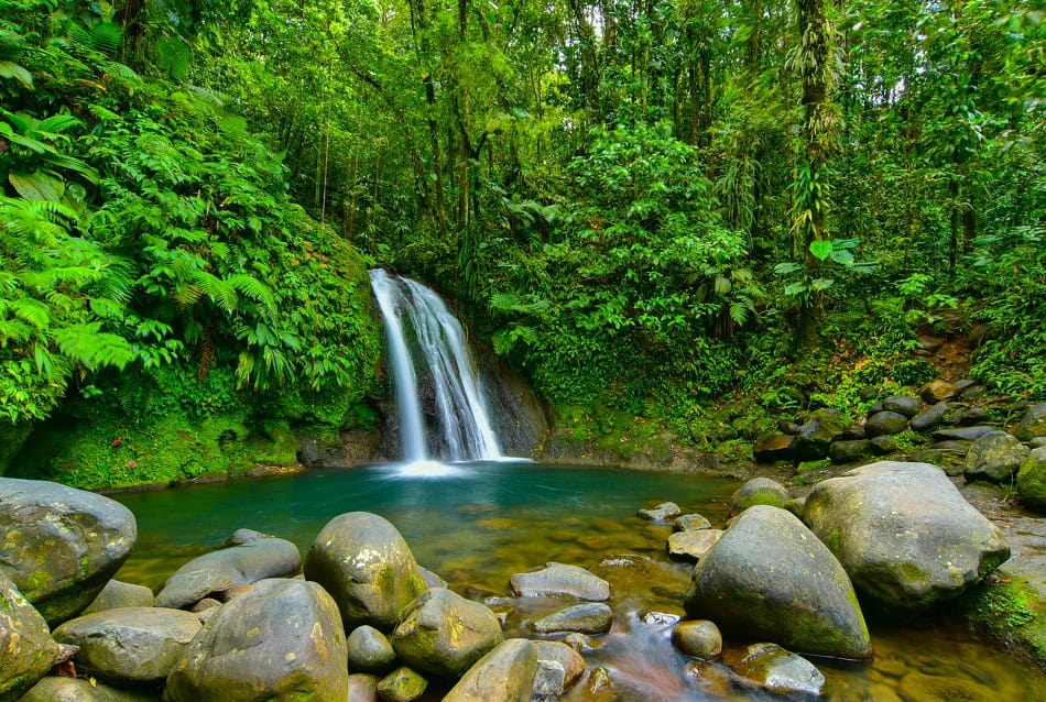Cascata Aux écrevisses (Basse Terre) Ctig