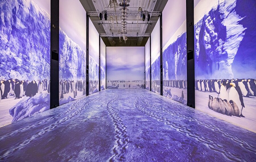 Exposição Missão Polar, Museu Oceanográfico De Mônaco