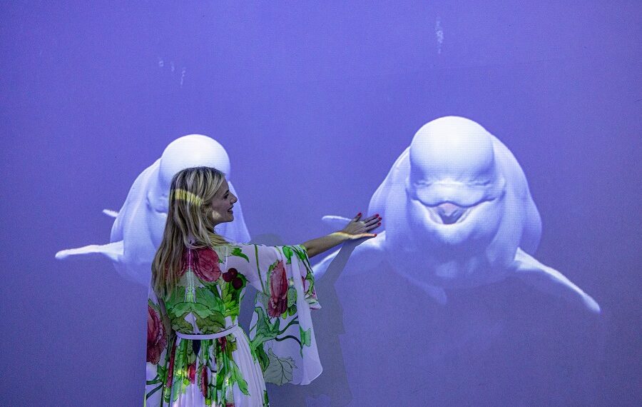 Exposição Missão Polar, Museu Oceanográfico De Mônaco