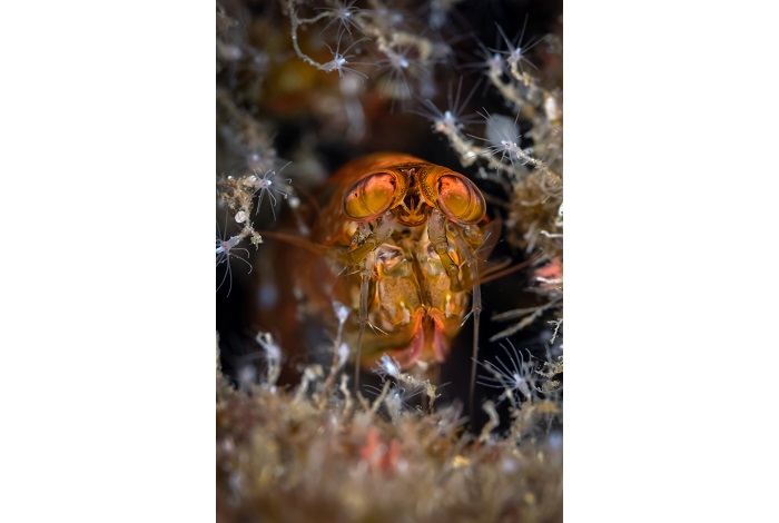 Portfolio Lespagne Claude 06