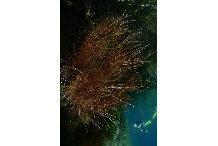 6 ヴェロニク・ウルムリ=ボドー 6a2 3674