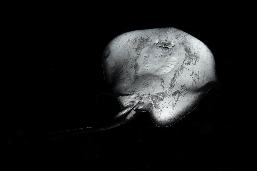 Ca 4013 01