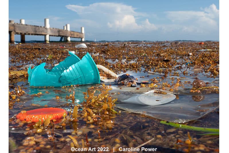 2e Onderwaterbehoud Caroline Power Drowned In Plastic