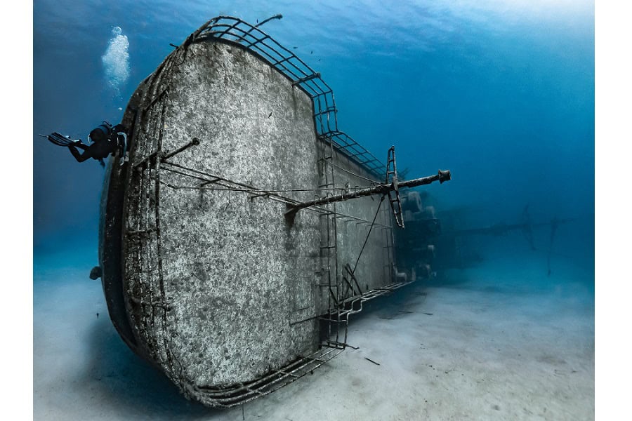 金色のタツノオトシゴ ポートフォリオアマチュア © ソフィー・ルスカ 9