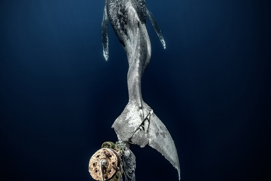 Wod2023 Photo Competition No Time To Waste 1st Place Alvaro Herrero 1 Of 3.jpg