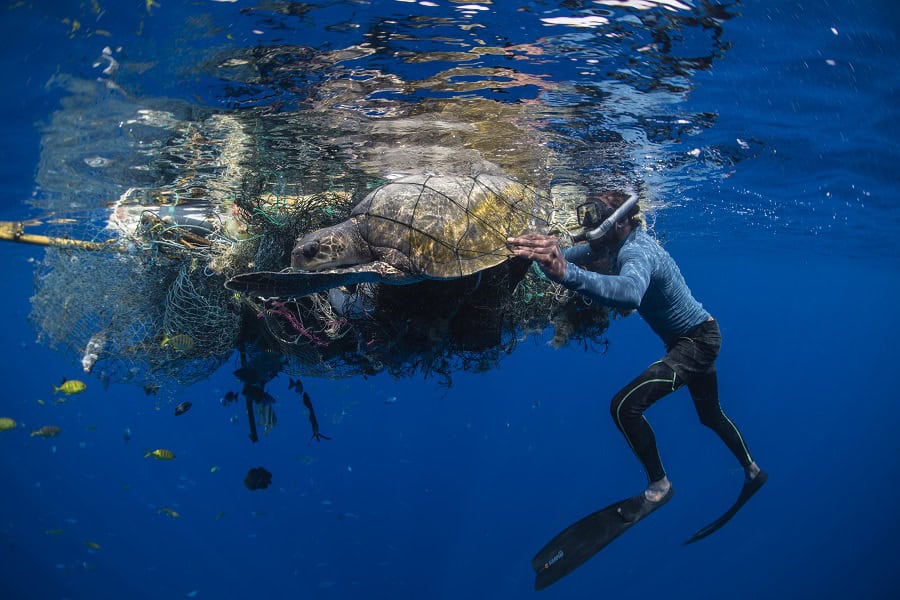 Wod2023 Photo Competition No Time To Waste 2nd Place Simon Lorenz 3 Of 3