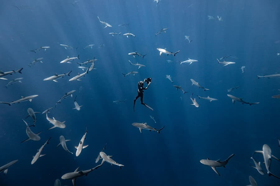 Wod2023 Photo Competition Ocean Is Life Honorable Mention Rachel Moore