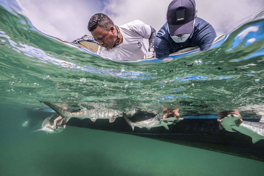 Wod2023 Photo Competition Putting The Ocean First 2nd Place Edwar Herreno Parra