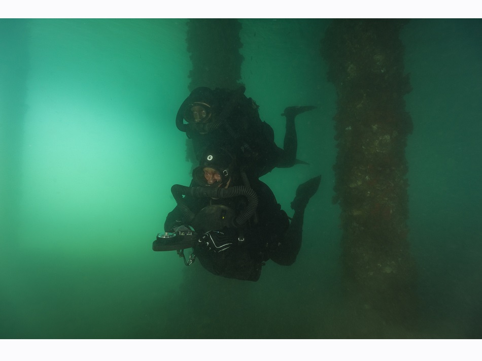 Combat Diver