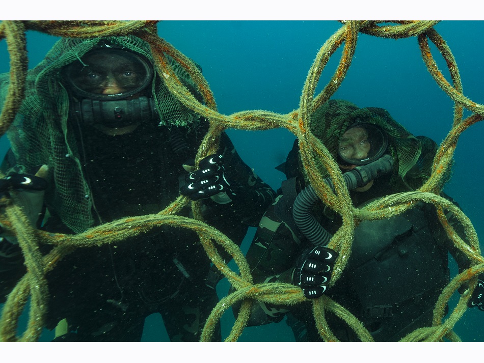 Combat Diver