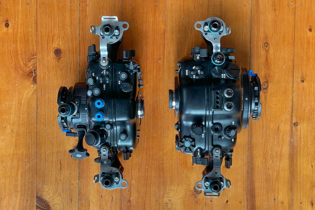 Z8 And Nauticam 26