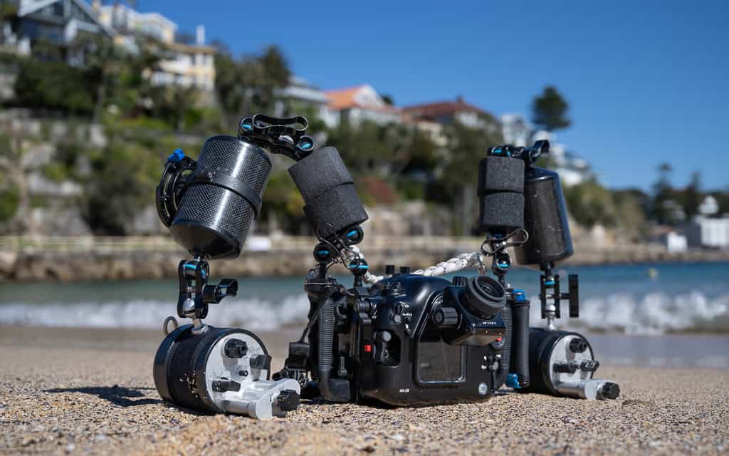 Z8 And Nauticam 7