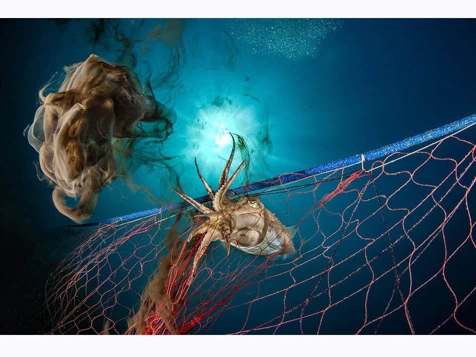 2nd Conservation Pasquale Vassallo Dpg Masters 2024