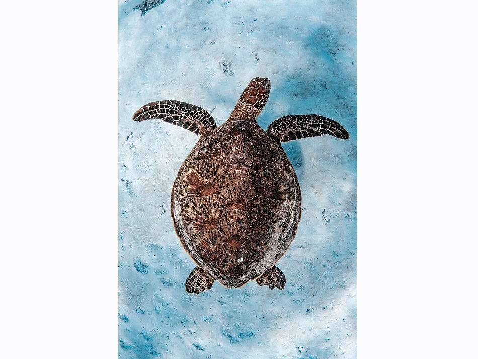 Hm1 Portfolio 3 Laura Gourgas Dpg Masters 2024