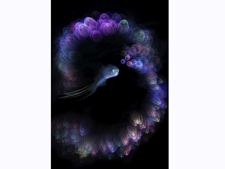 Ocean Art 2024 Digital Art 1 Unkoo Kim