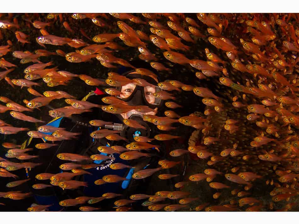 Ocean Art 2024 Wide Angle 3 Todd Aki