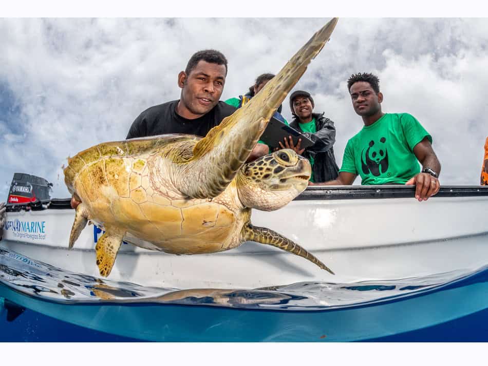 Ocean Art 2024 Environment Conservation 2 Tom Vierus