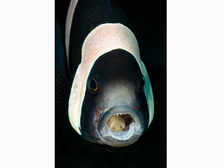 生物大师一等奖 逝于水边2025
