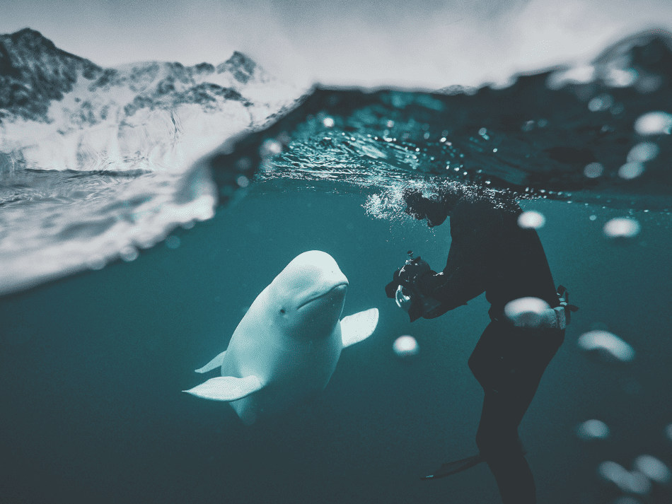 Freediving (1)