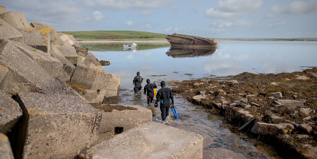 Snorkelling, orkney nature festival 2023