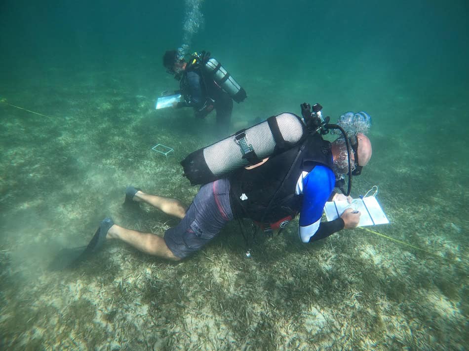 Dietro le quinte di Creocean 3