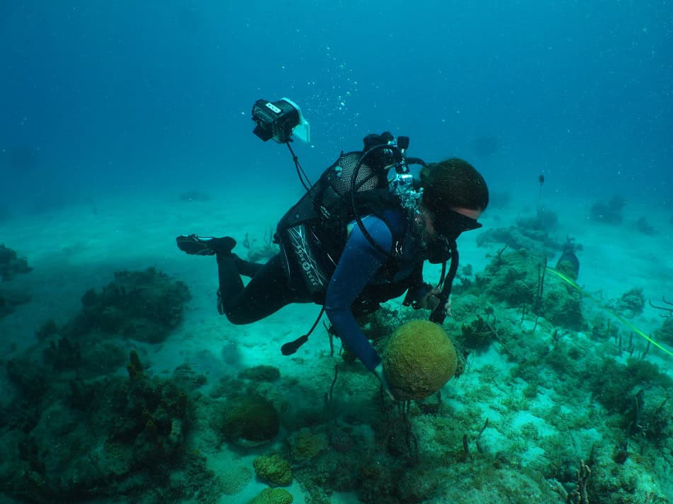 Dietro le quinte di Creocean