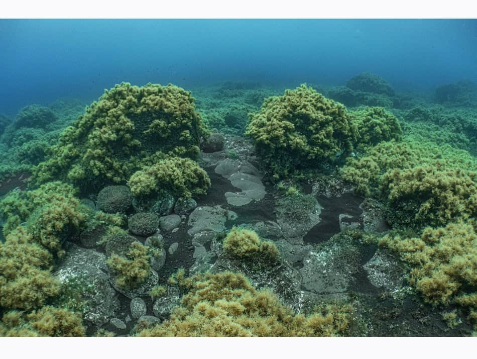 海中の火 ロラン・バレスタ 22