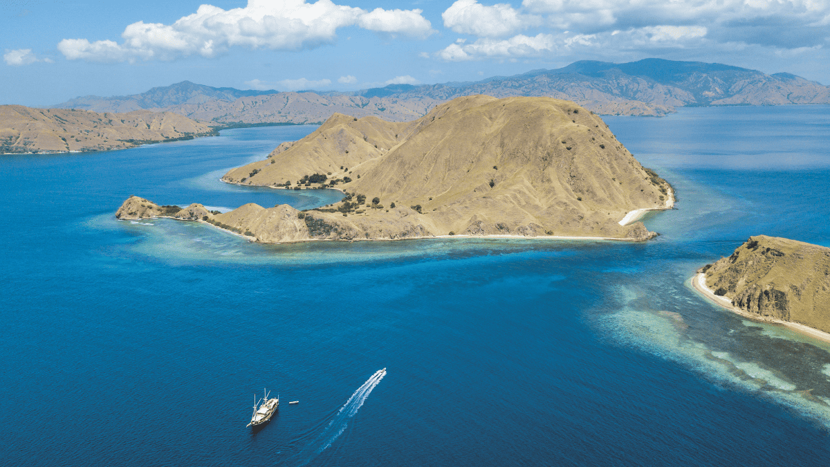 Komodo couverture
