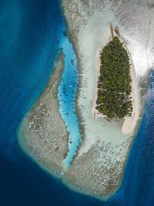 Dive kolhumadulu maldives 74