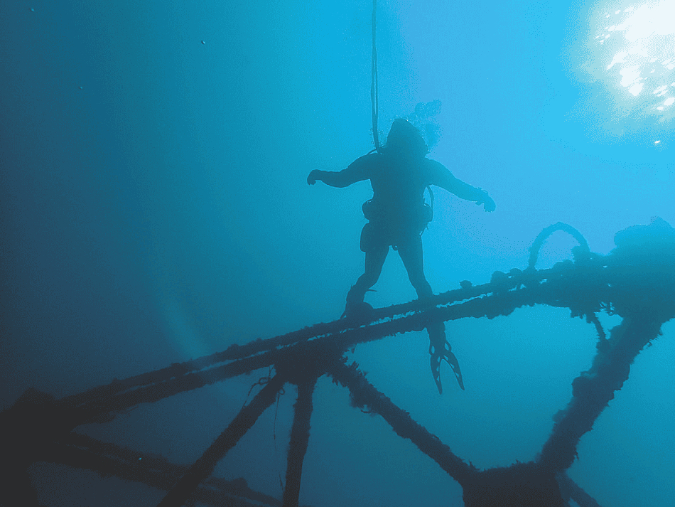 Diver (2)