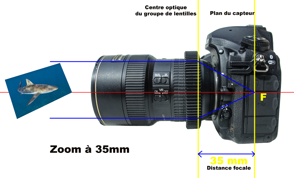 Objective 3