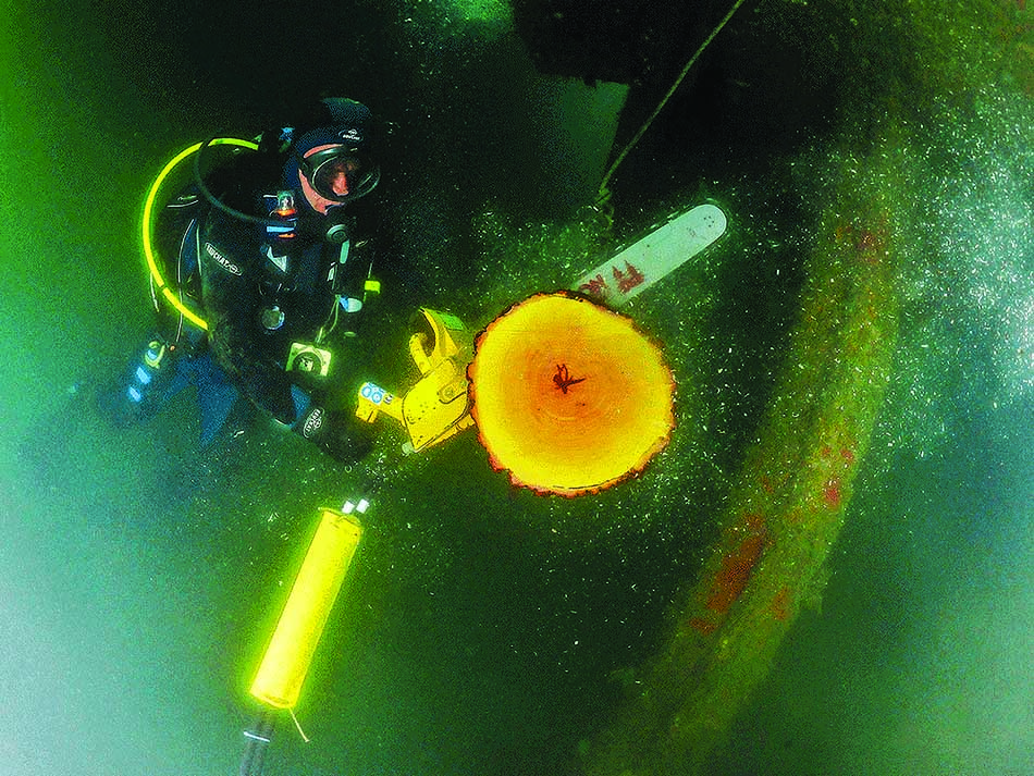Clearance diver