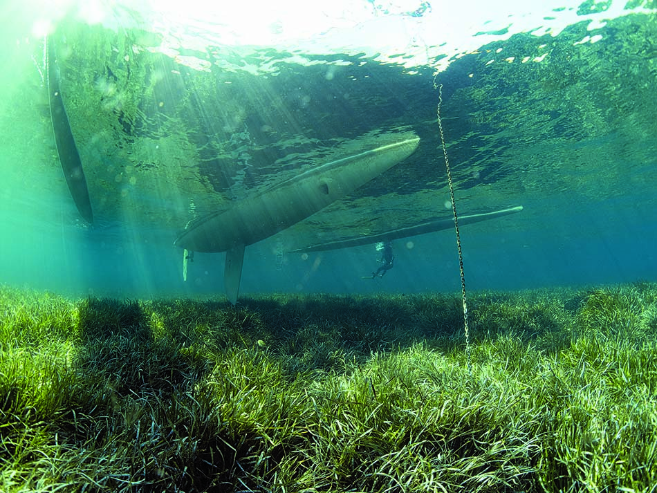 Posidonia boat