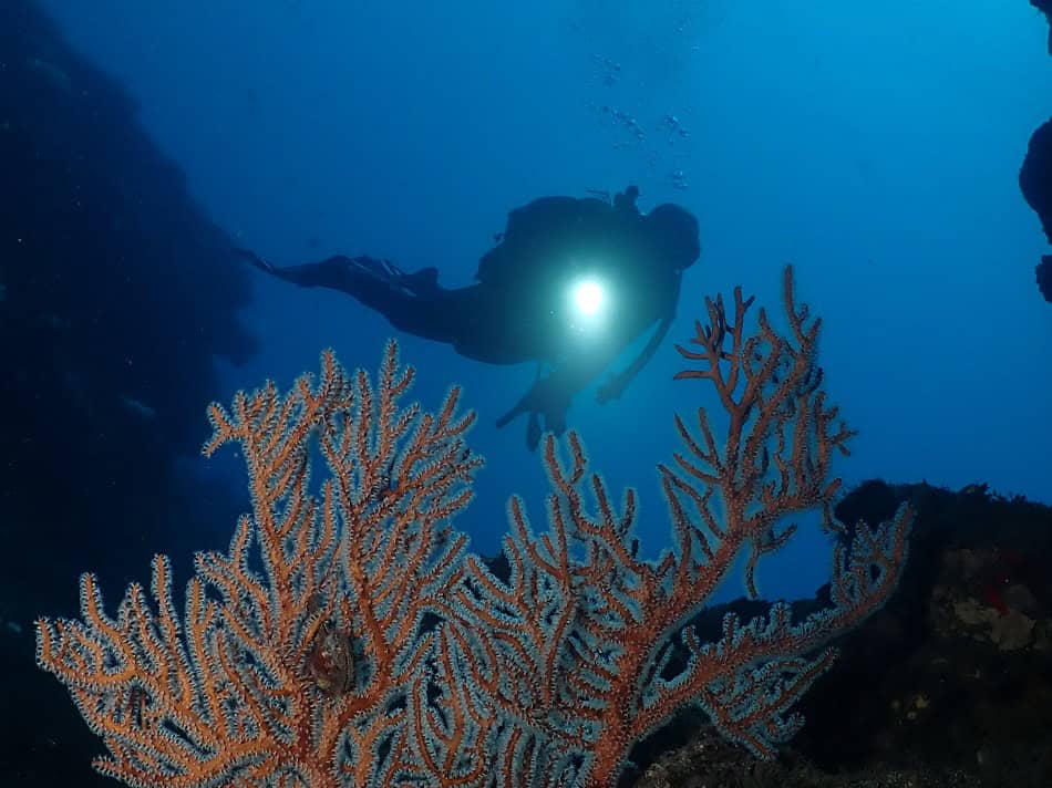 07074 07 5a1 050122