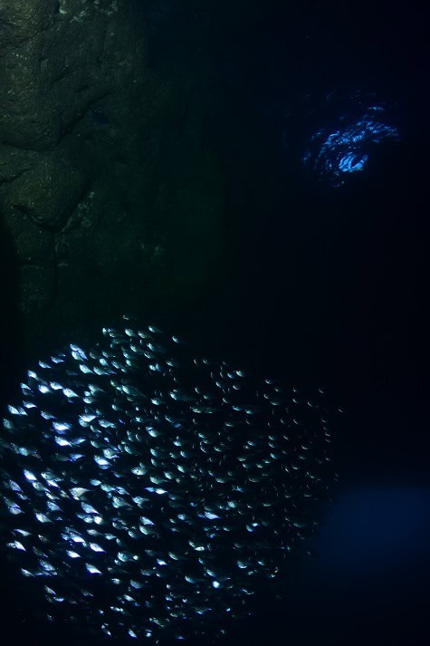16164 16 5a1 1454