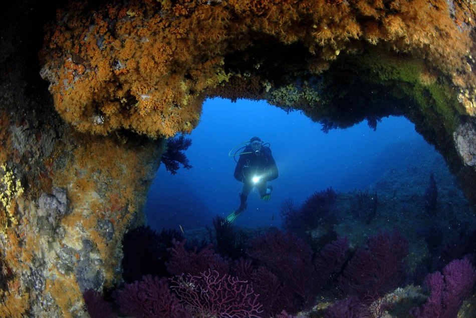 Arco del toro