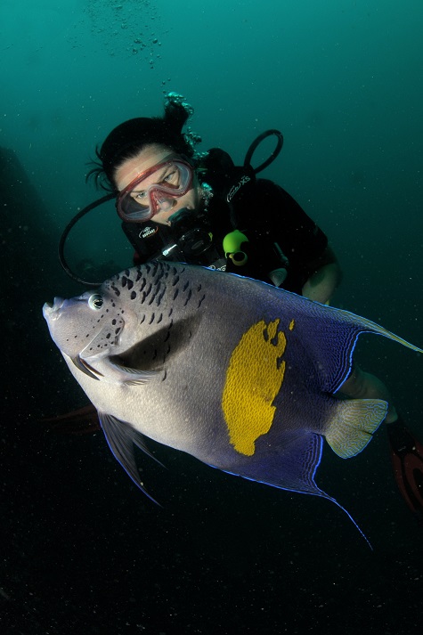 Natasha and an angelfish