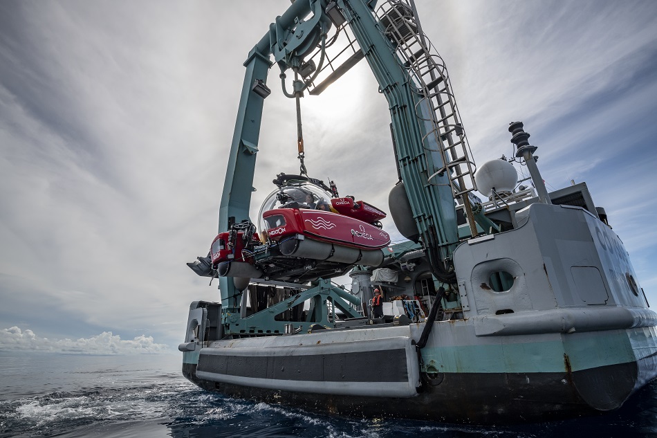 Dive Nekton mission Maldives 26