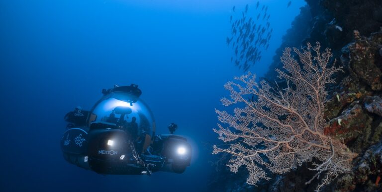 Plongez mission nekton maldives 33