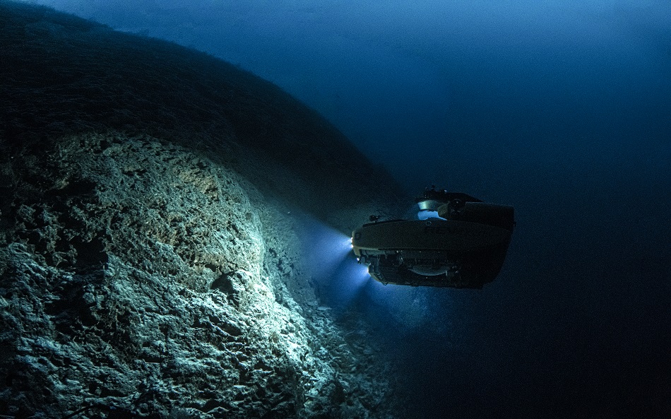 Dive Nekton mission Maldives 53