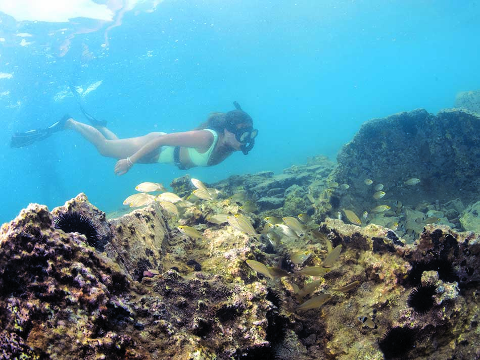 Free diver